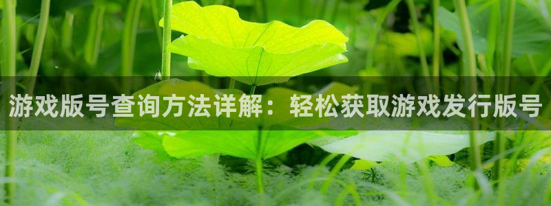 广州db电竞网络科技有限公司：游戏版号查询方法详解：轻松获取游戏发行版号