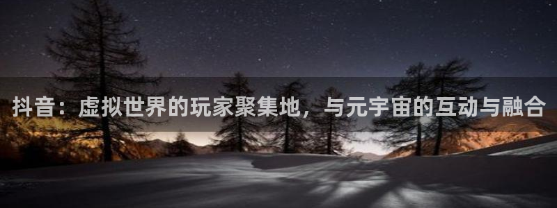 db电竞电子商务：抖音：虚拟世界的玩家聚集地，与元宇宙的互动与融合