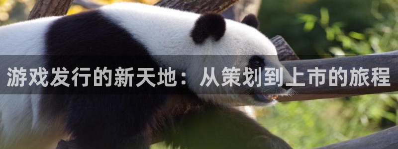 db电竞官网的奇趣腾讯是真的吗知乎：游戏发行的新天地：从策划到上市的旅程