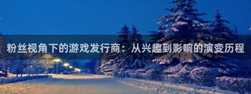 南京db电竞子电子商务有限公司：粉丝视角下的游戏发行商：从兴趣到影响的演变历程