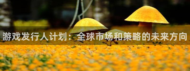 广州db电竞网络科技有限公司怎么样：游戏发行人计划：全球市场和策略的未来方向
