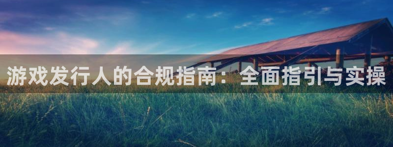 db电竞lvnces官网：游戏发行人的合规指南：全面指引与实操