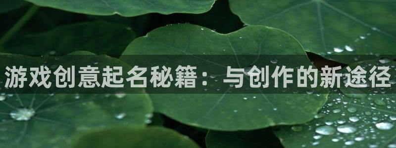 db电竞官网注册平台是什么意思：游戏创意起名秘籍：与创作的新途径