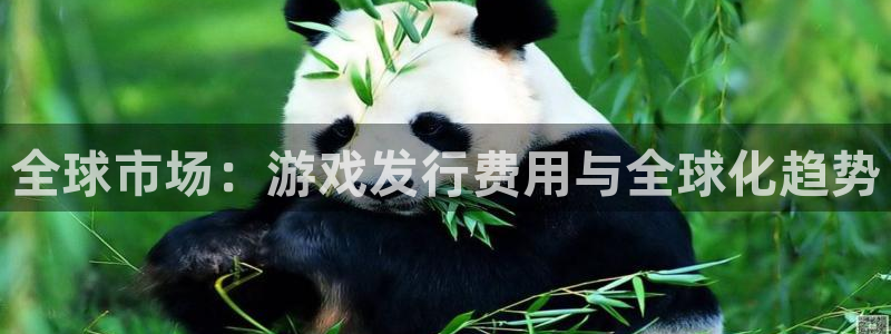 db电竞技术有限公司招聘：全球市场：游戏发行费用与全球化趋势