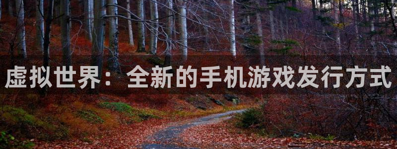 db电竞子图书：虚拟世界：全新的手机游戏发行方式