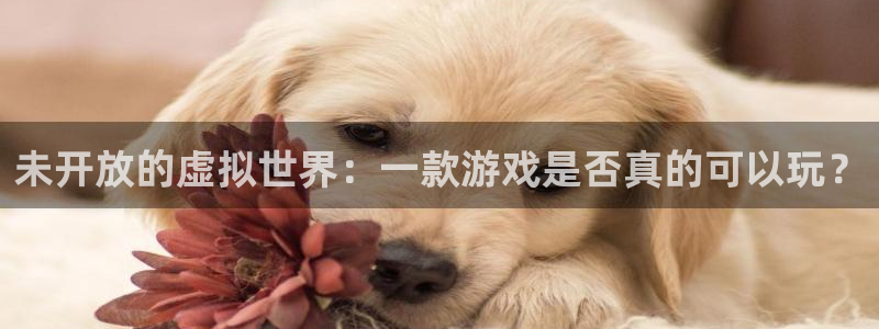 db电竞超纯啤酒怎么样：未开放的虚拟世界：一款游戏是否真的可以玩？