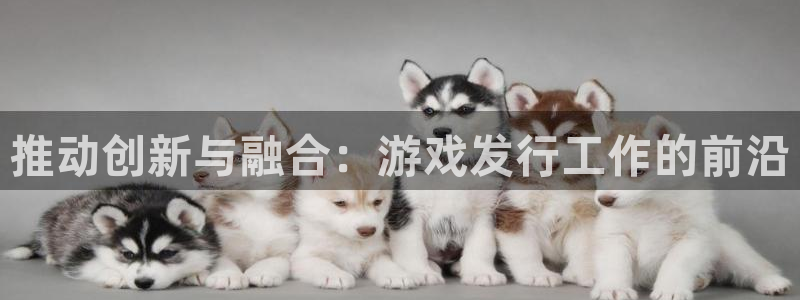 db电竞子文化是干嘛的：推动创新与融合：游戏发行工作的前沿