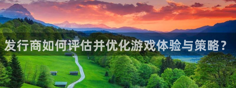 四川db电竞科技有限公司招聘：发行商如何评估并优化游戏体验与策略？