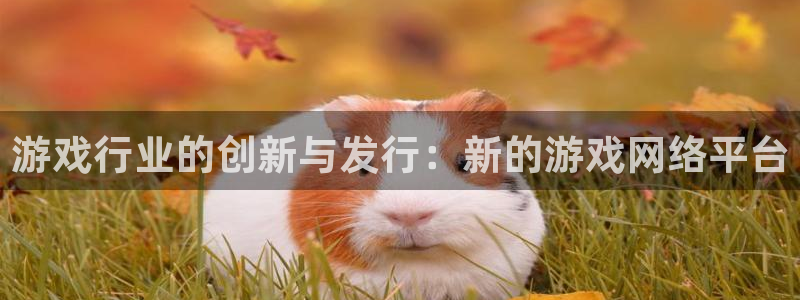 db电竞衣服怎么样：游戏行业的创新与发行：新的游戏网络平台