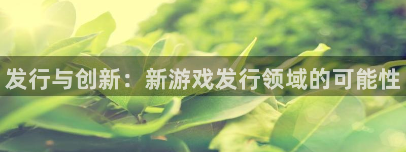 江苏db电竞智得新材料有限公司：发行与创新：新游戏发行领域的可能性