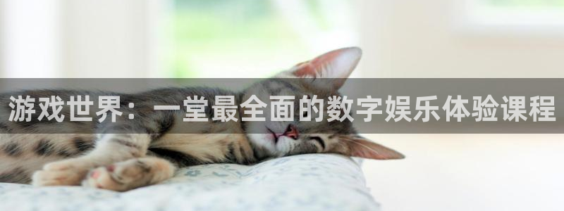 db电竞官网登录注册不了怎么办：游戏世界：一堂最全面的数字娱乐体验课程