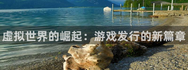 db电竞官网注册平台官网：虚拟世界的崛起：游戏发行的新篇章