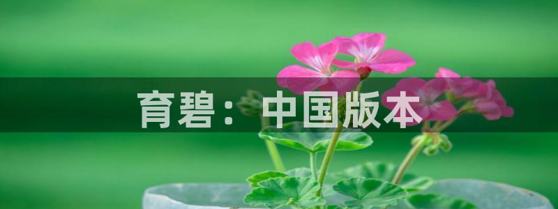 db电竞子文化创意加好友：育碧：中国版本
