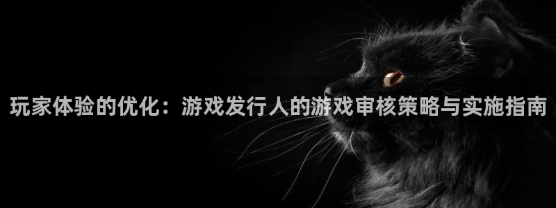 广州db电竞投资：玩家体验的优化：游戏发行人的游戏审核策略与实施指南