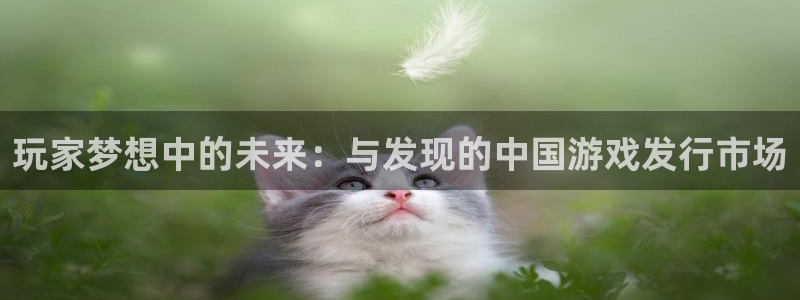 db电竞电商怎么样：玩家梦想中的未来：与发现的中国游戏发行市场