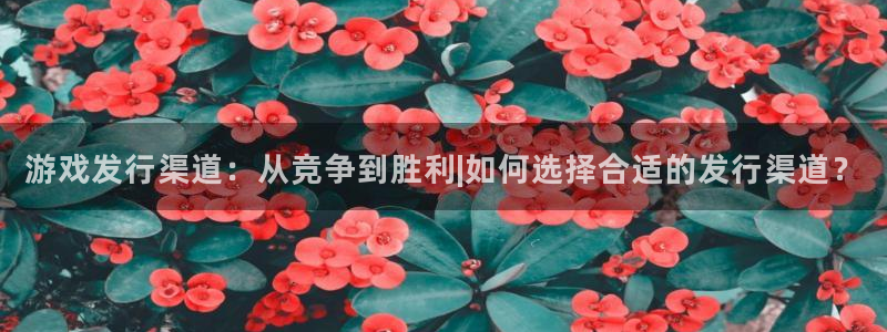 db电竞集团品牌策划机构