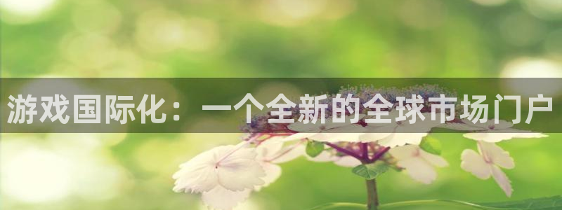 db电竞子文化：游戏国际化：一个全新的全球市场门户