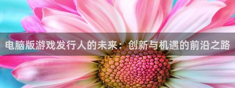 db电竞官网游戏怎么注册：电脑版游戏发行人的未来：创新与机遇的前沿之路