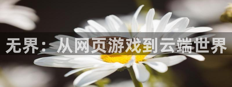 db电竞官网平台代理开号是真的吗
