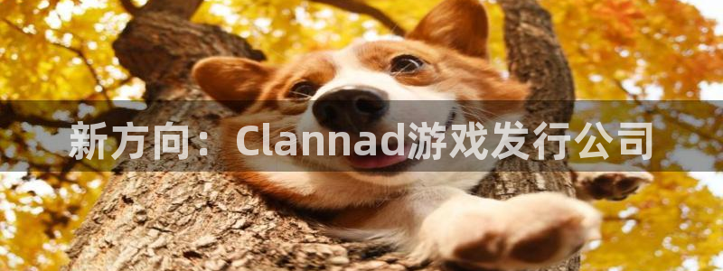 db电竞官网注册平台怎么注册的