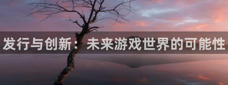 db电竞官网注册登录不了：发行与创新：未来游戏世界的可能性